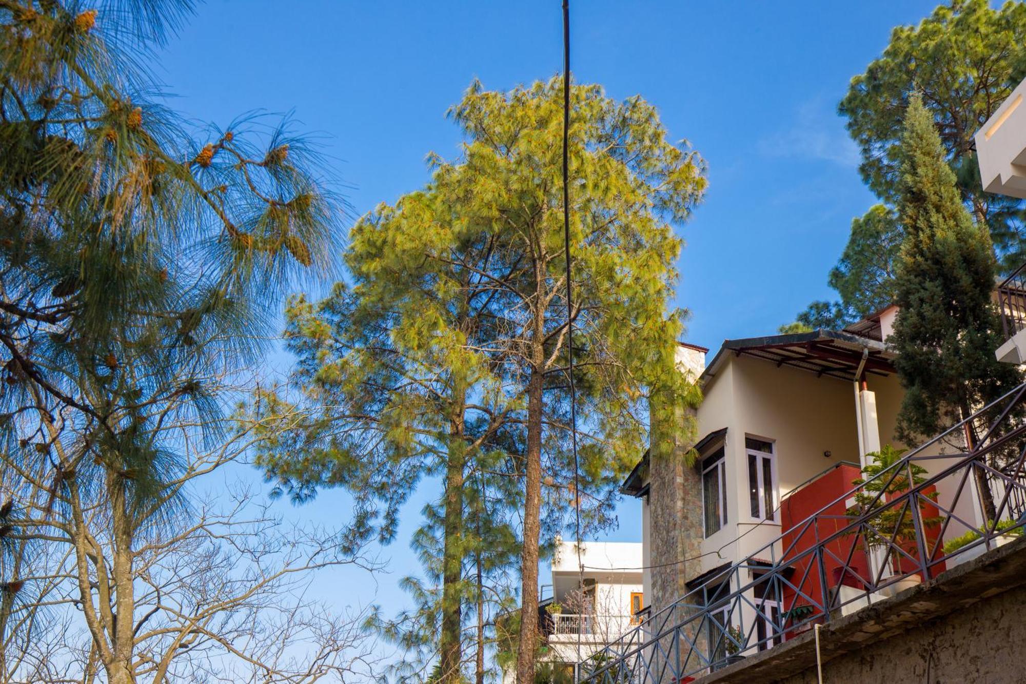 Alaya Stays Mehar Villa - 3 Bhk With Garden & Scenic Views Kasauli Εξωτερικό φωτογραφία